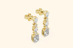 Elegant multi diamond drop earrings